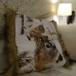 Harz Dream - Vier Jahreszeiten Appartement *