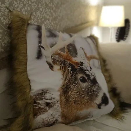 Harz Dream - Vier Jahreszeiten Apartmán *