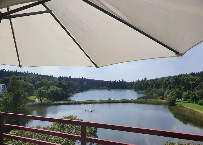 Harz Dream - Vier Jahreszeiten 公寓