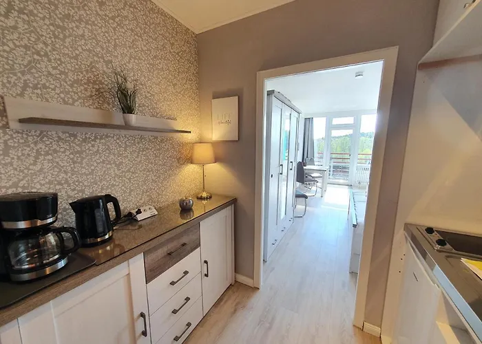 公寓 Harz Dream - Vier Jahreszeiten *