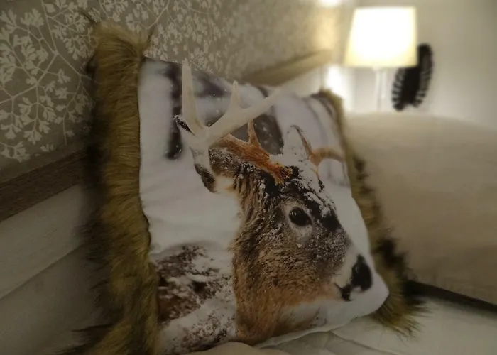 Harz Dream - Vier Jahreszeiten 公寓 *