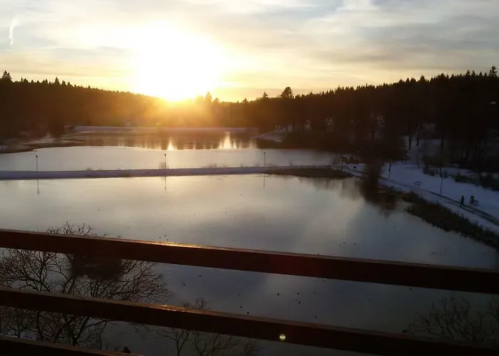 Harz Dream - Vier Jahreszeiten *