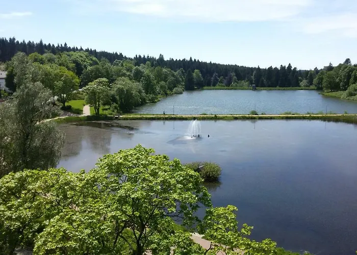 公寓 Harz Dream - Vier Jahreszeiten